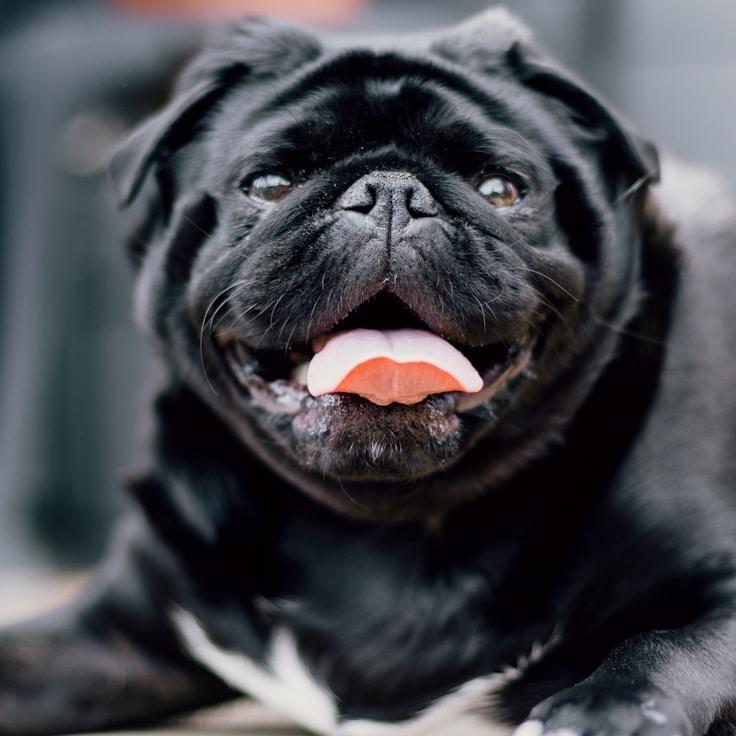 Nova Patel, Client Relations Director, discussing corporate gifting strategy with business clients